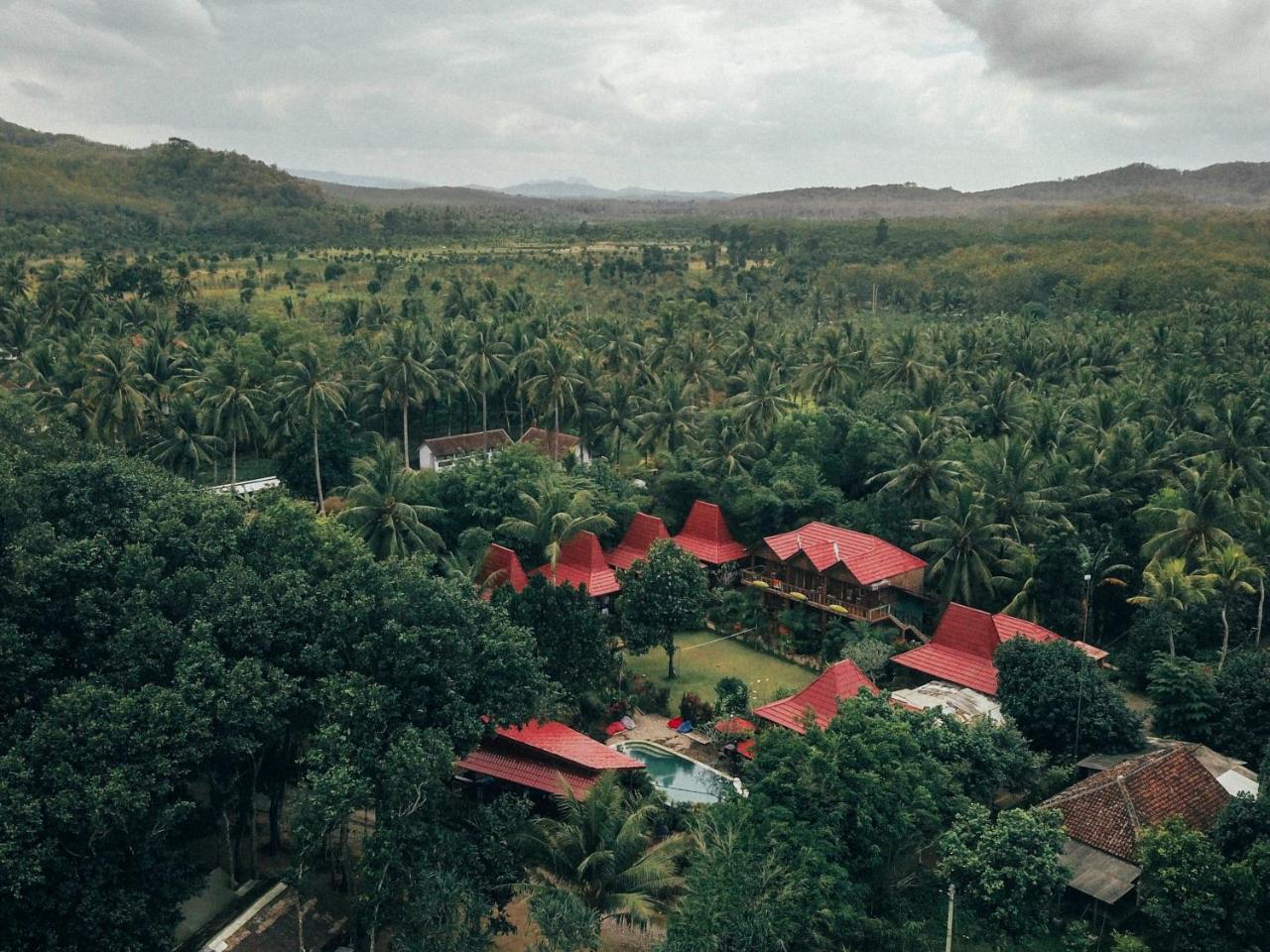 Mojosurf Camp Red Island Pasanggaran Exterior foto